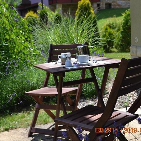 Apartament Parkowa Polana Z Ogrodem Apartment Поляница-Здрой Екстериор снимка
